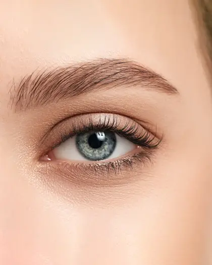 Eyebrows & Lashes